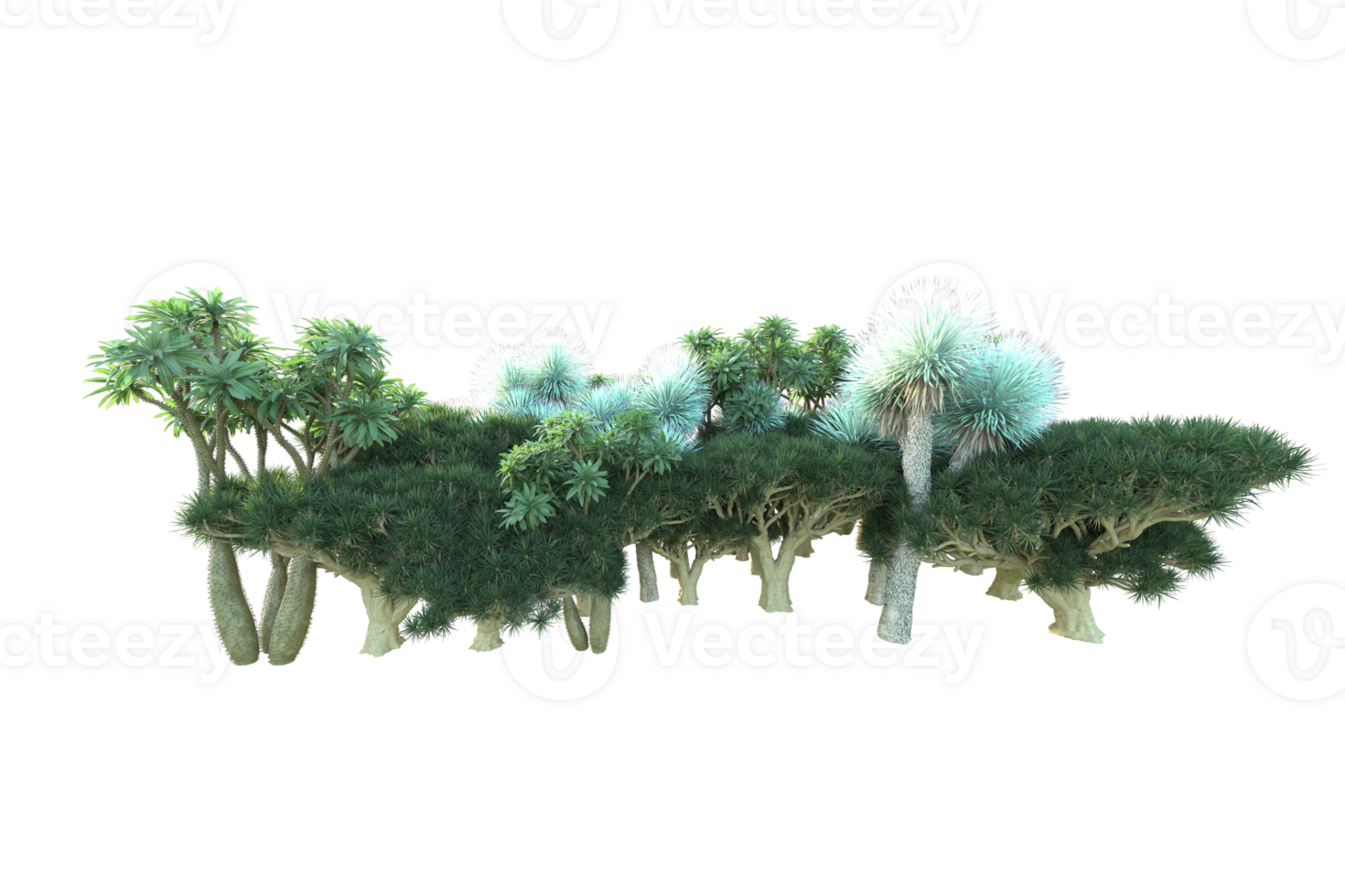 Tropical forest isolated on transparent background. 3d rendering - illustration png