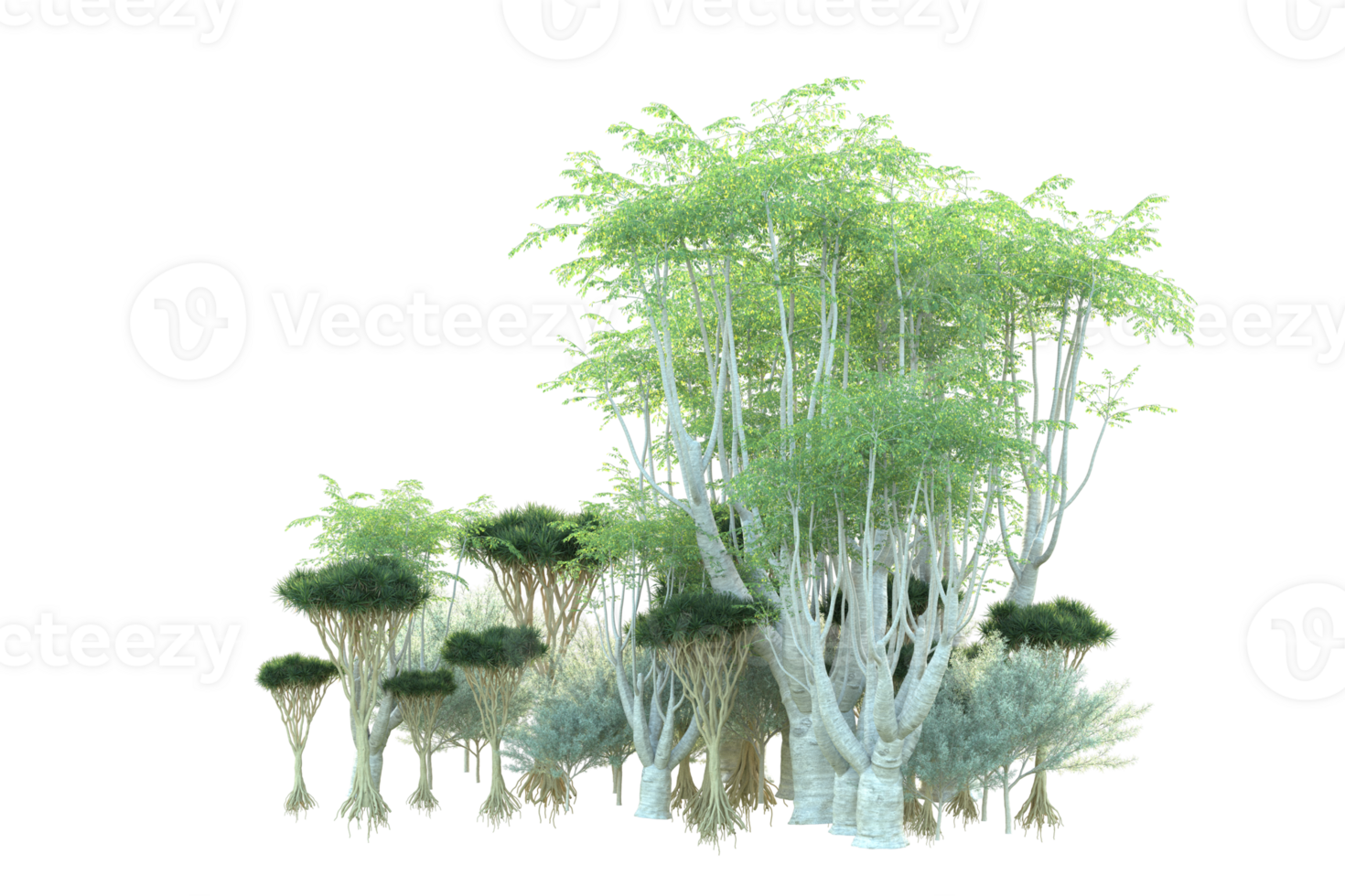 Tropical forest isolated on transparent background. 3d rendering - illustration png