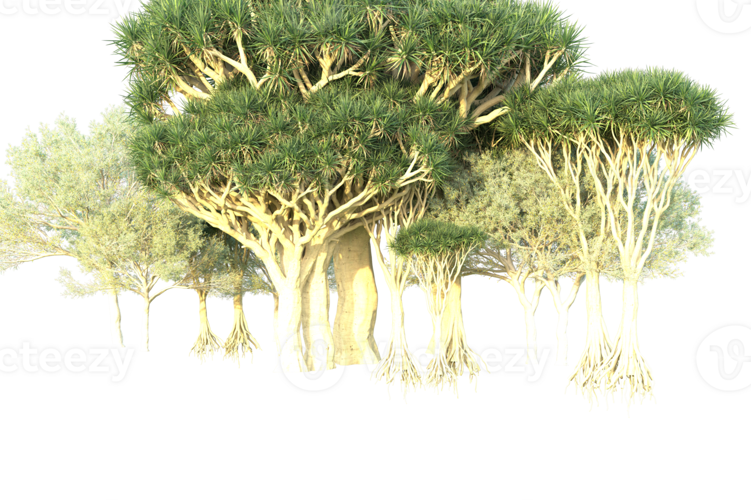 Tropical forest isolated on transparent background. 3d rendering - illustration png