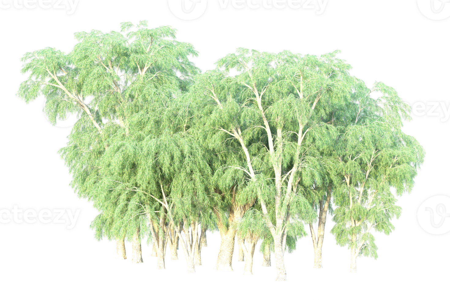 Tropical forest isolated on transparent background. 3d rendering - illustration png