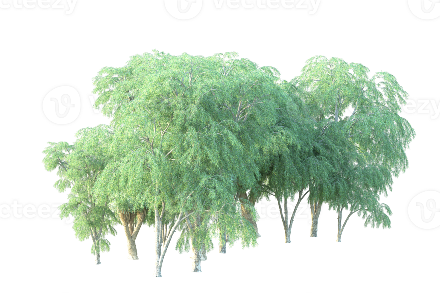 Tropical forest isolated on transparent background. 3d rendering - illustration png