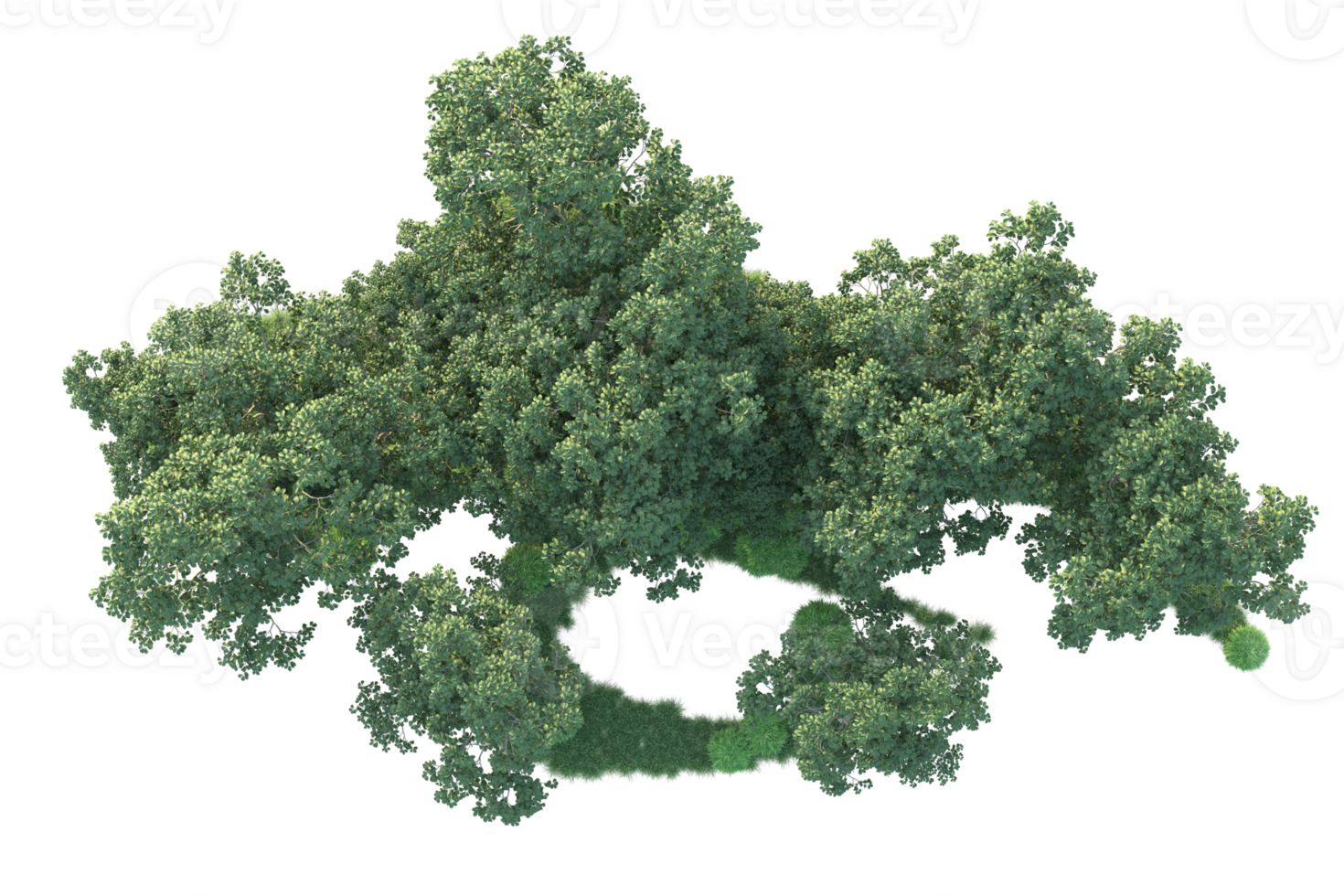 Tropical forest isolated on transparent background. 3d rendering - illustration png