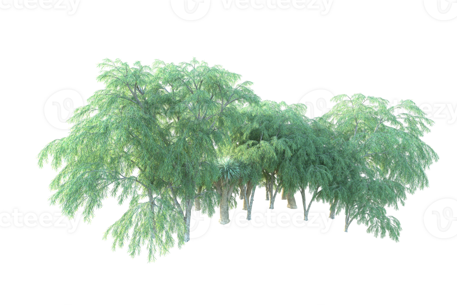 Tropical forest isolated on transparent background. 3d rendering - illustration png