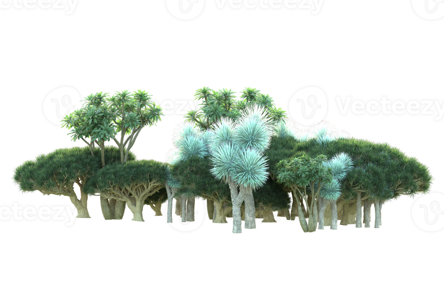 Tropical forest isolated on transparent background. 3d rendering - illustration png