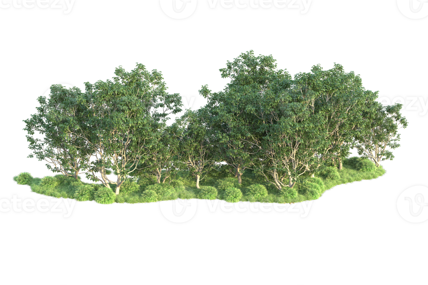 Tropical forest isolated on transparent background. 3d rendering - illustration png