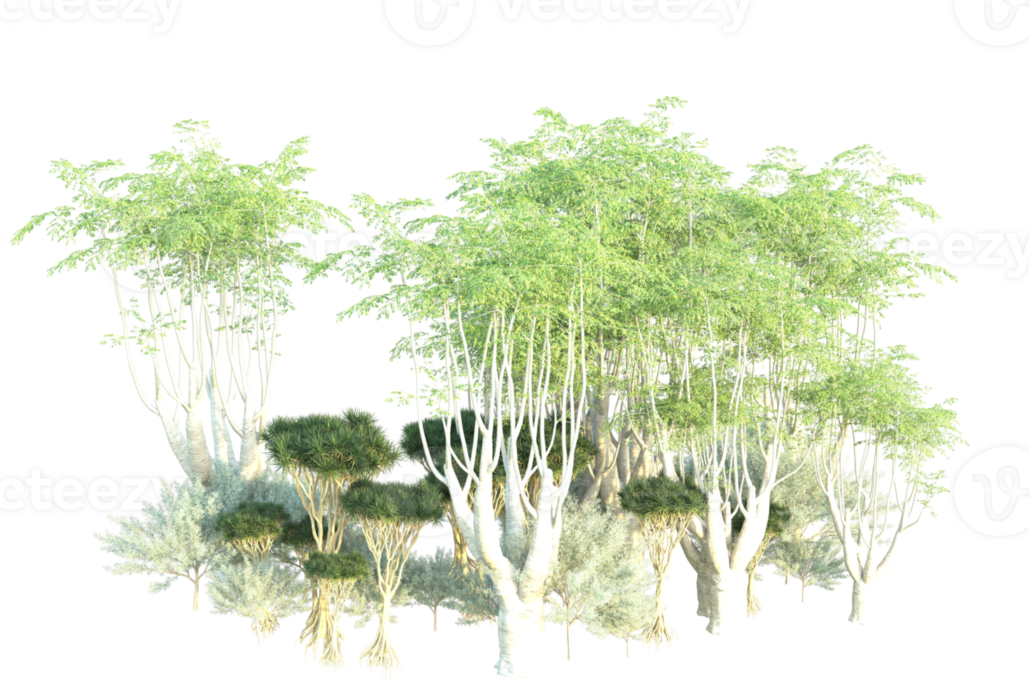 Tropical forest isolated on transparent background. 3d rendering - illustration png