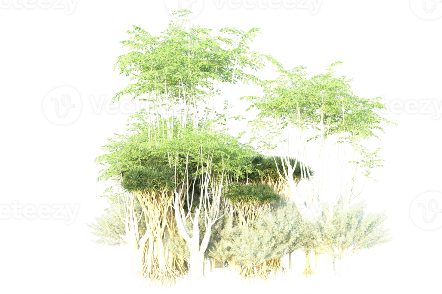Tropical forest isolated on transparent background. 3d rendering - illustration png