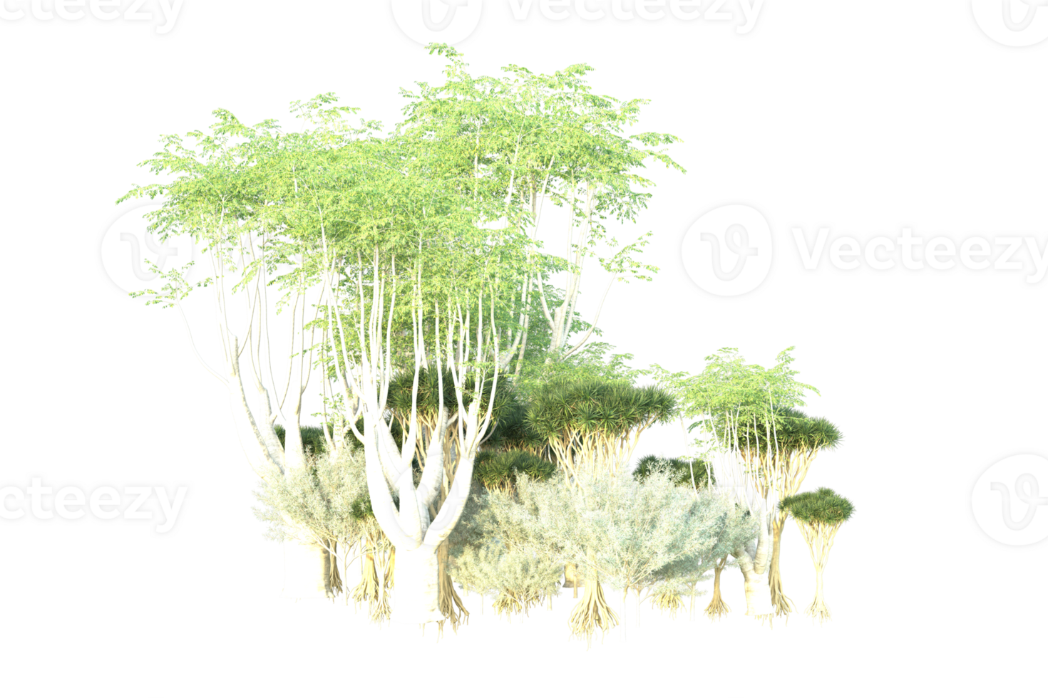 Tropical forest isolated on transparent background. 3d rendering - illustration png