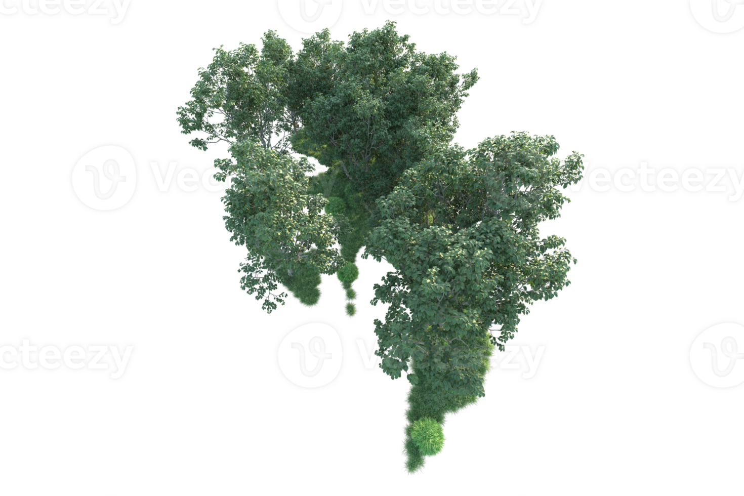 Tropical forest isolated on transparent background. 3d rendering - illustration png