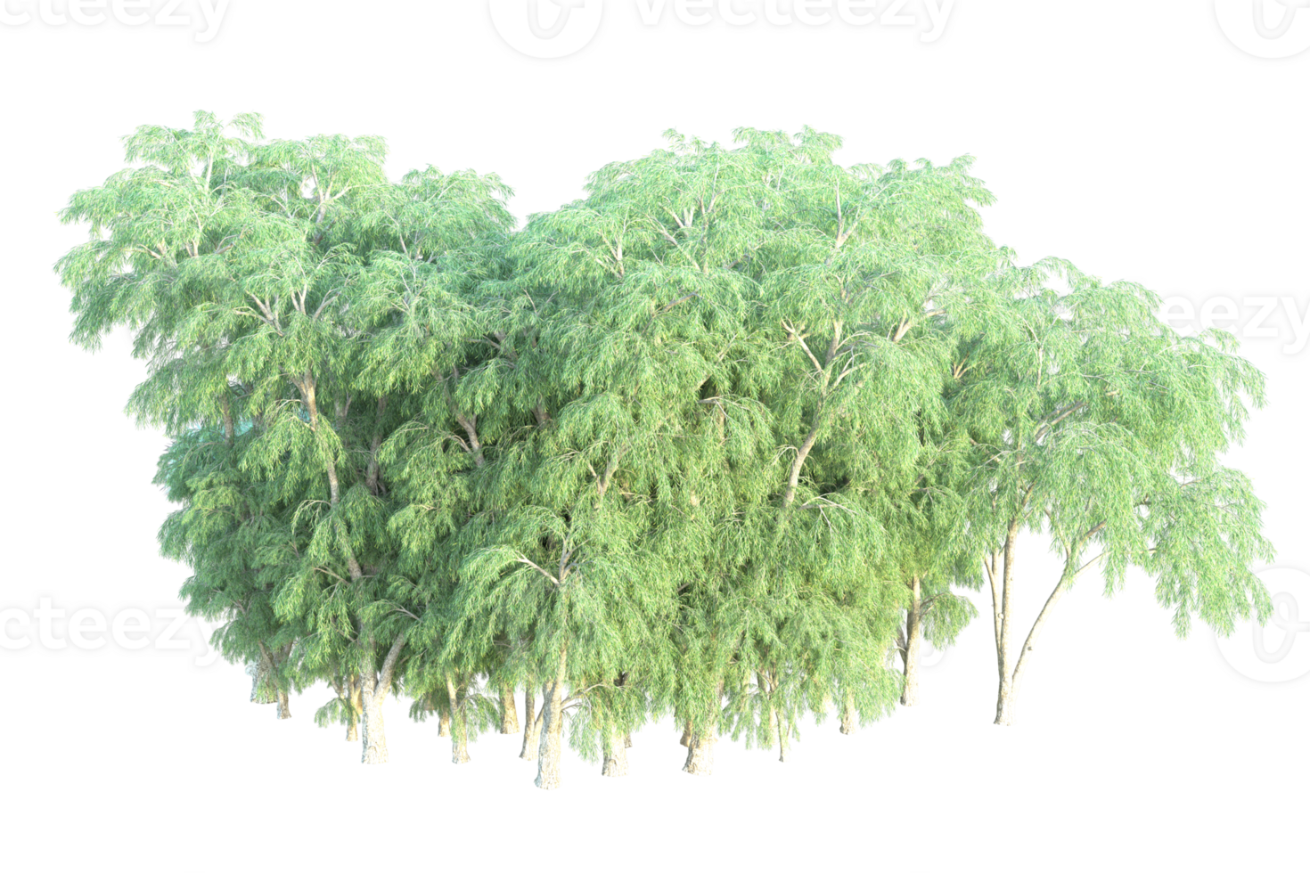 Tropical forest isolated on transparent background. 3d rendering - illustration png