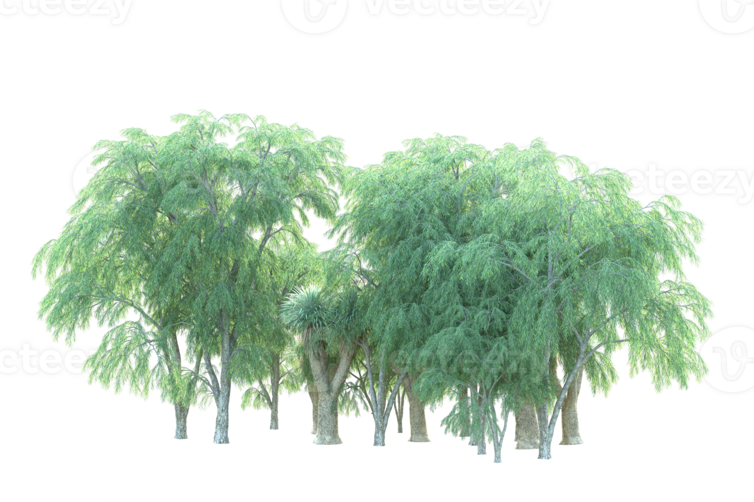 Tropical forest isolated on transparent background. 3d rendering - illustration png