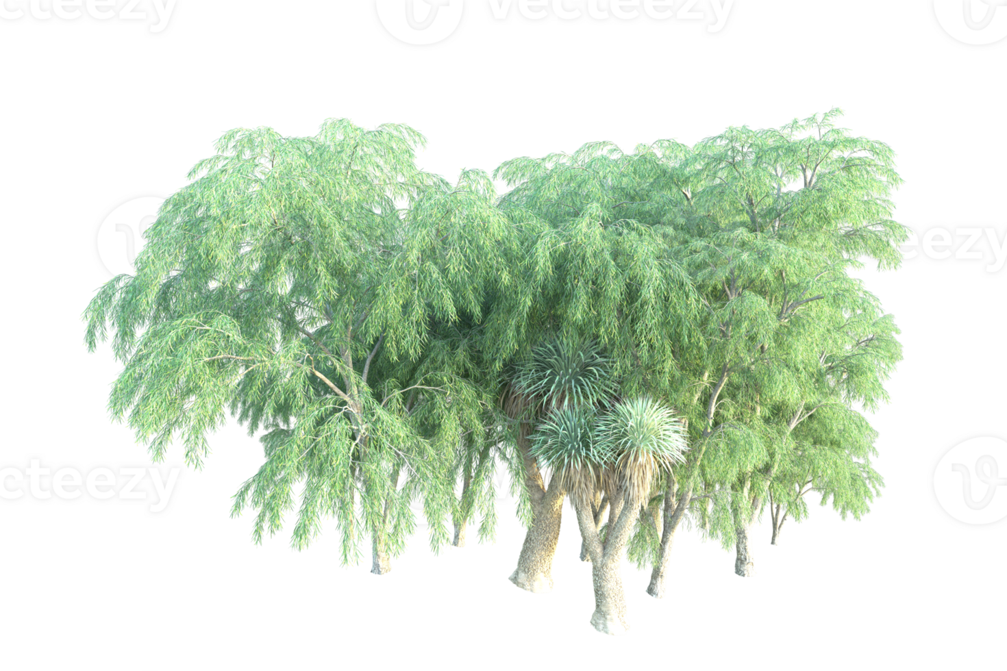 Tropical forest isolated on transparent background. 3d rendering - illustration png
