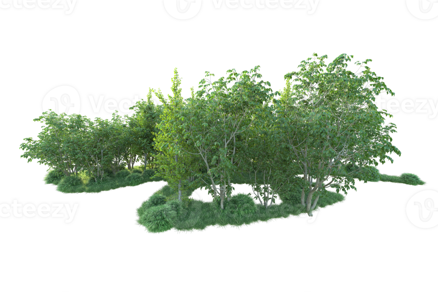 Tropical forest isolated on transparent background. 3d rendering - illustration png