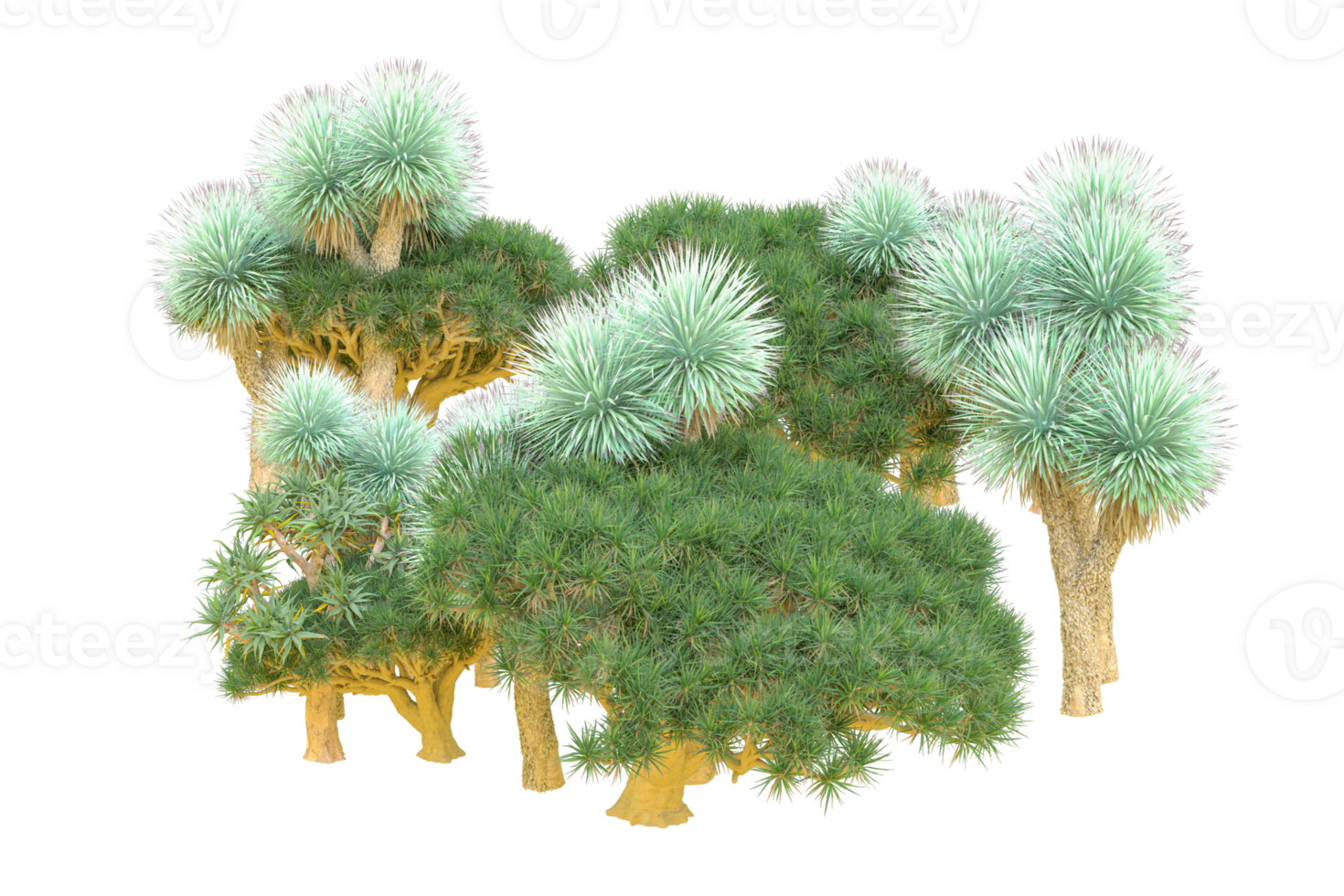 Tropical forest isolated on transparent background. 3d rendering - illustration png