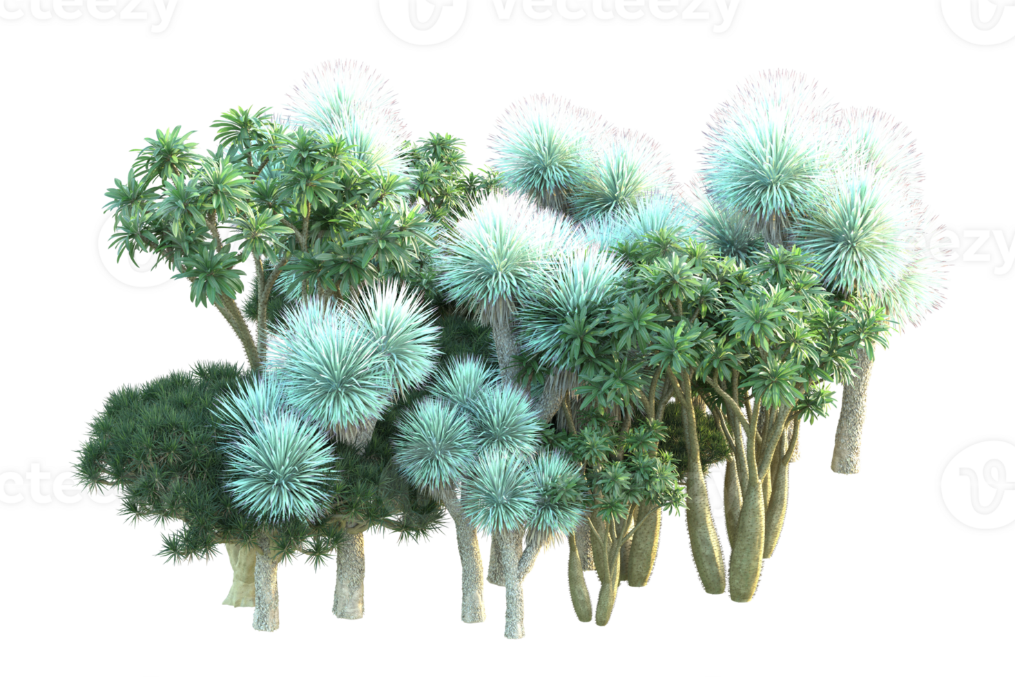 Tropical forest isolated on transparent background. 3d rendering - illustration png