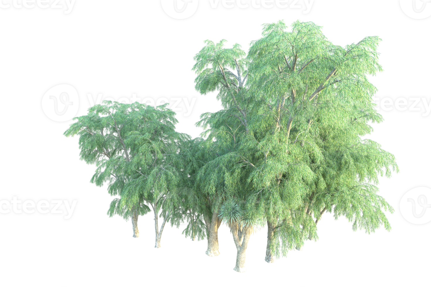 Tropical forest isolated on transparent background. 3d rendering - illustration png