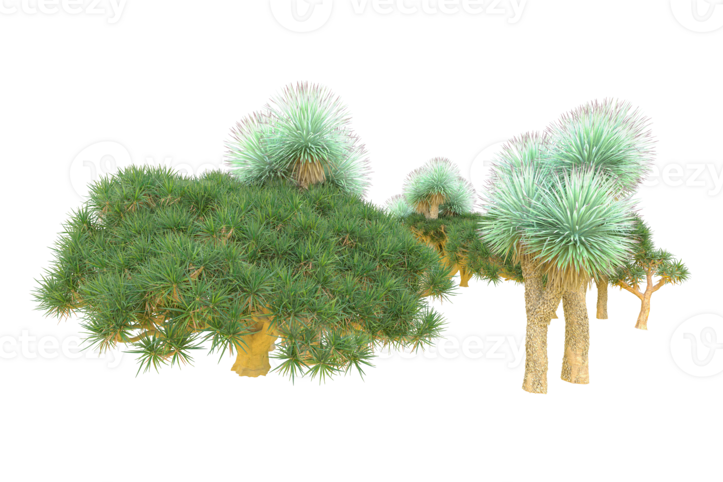 Tropical forest isolated on transparent background. 3d rendering - illustration png