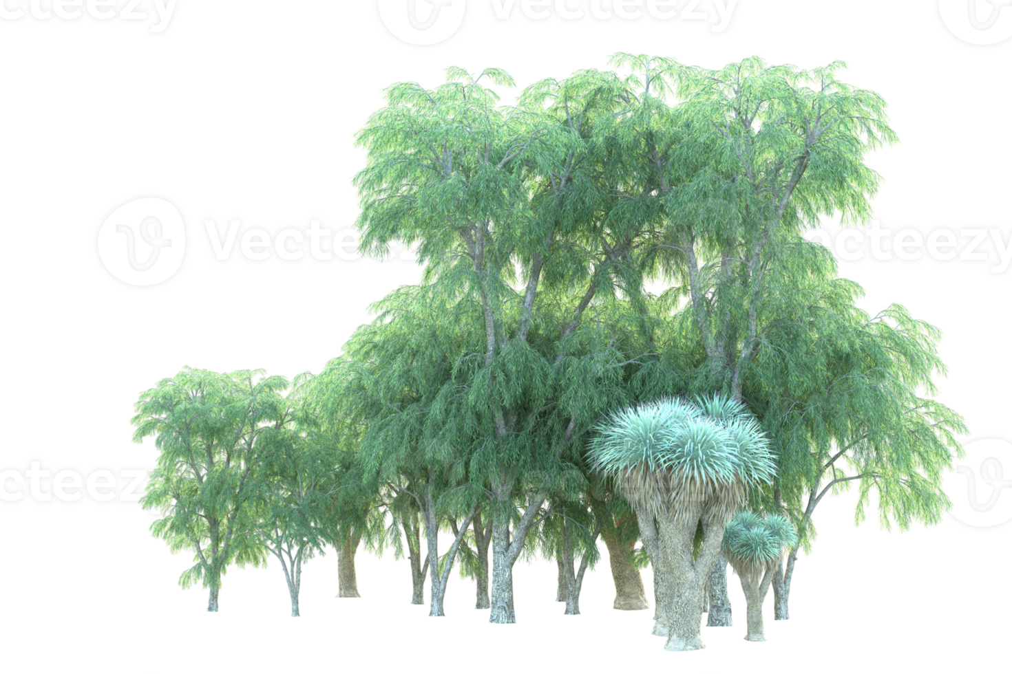 Tropical forest isolated on transparent background. 3d rendering - illustration png