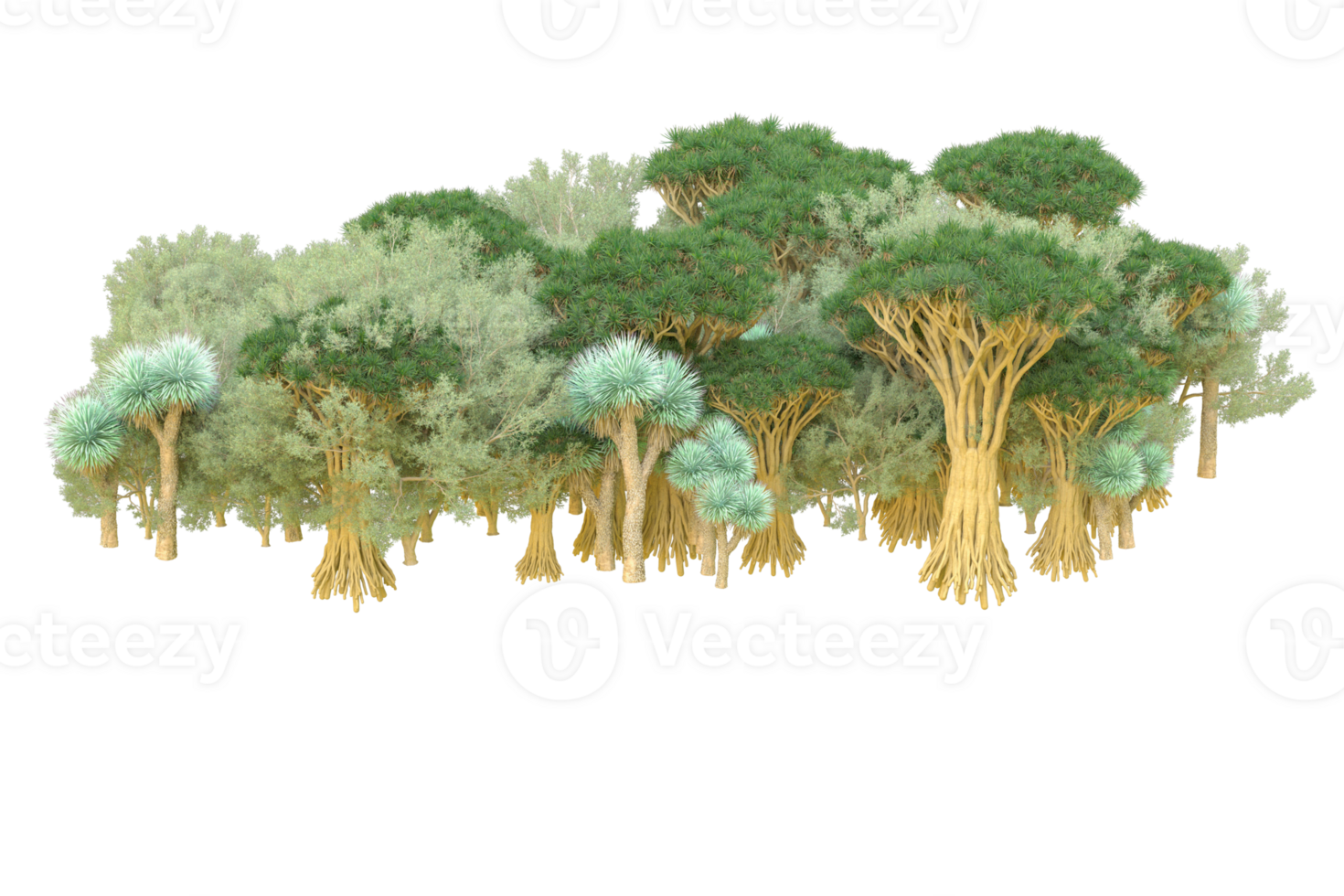 Tropical forest isolated on transparent background. 3d rendering - illustration png