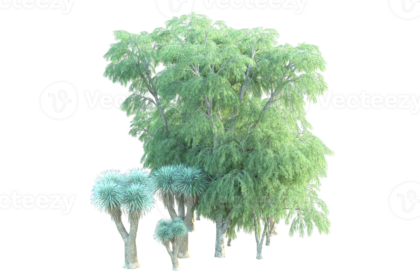 Tropical forest isolated on transparent background. 3d rendering - illustration png