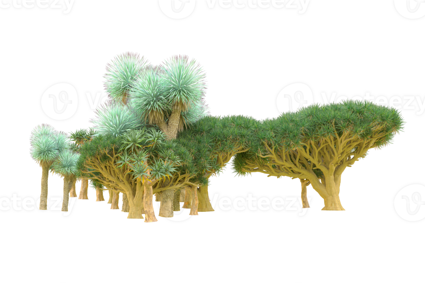 Tropical forest isolated on transparent background. 3d rendering - illustration png