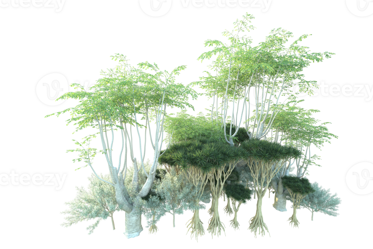 Tropical forest isolated on transparent background. 3d rendering - illustration png