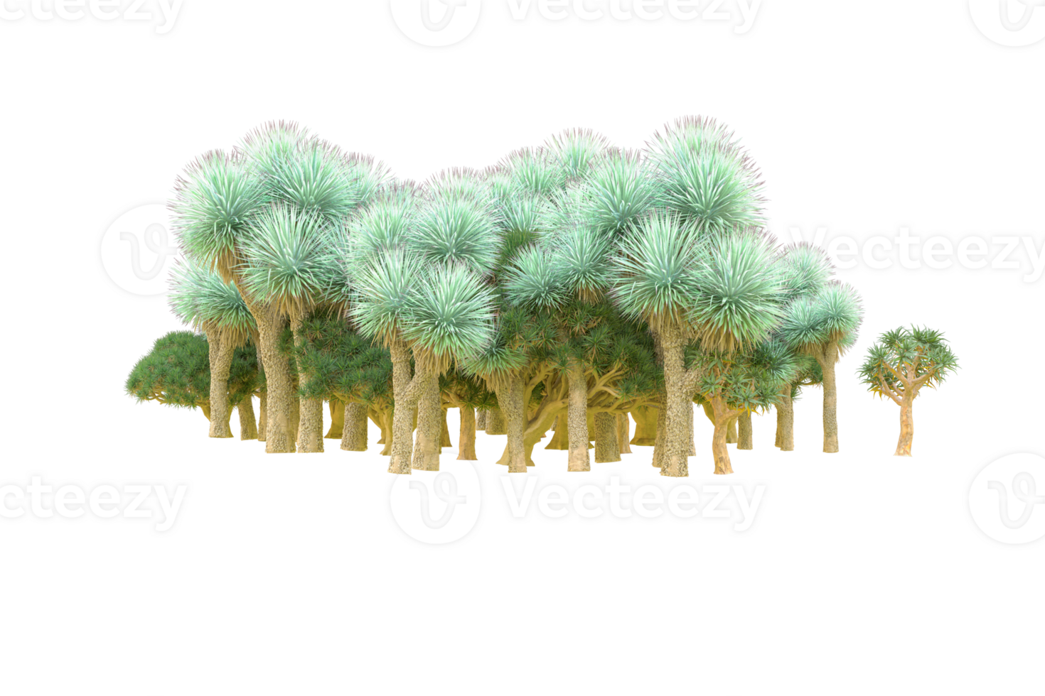 Tropical forest isolated on transparent background. 3d rendering - illustration png