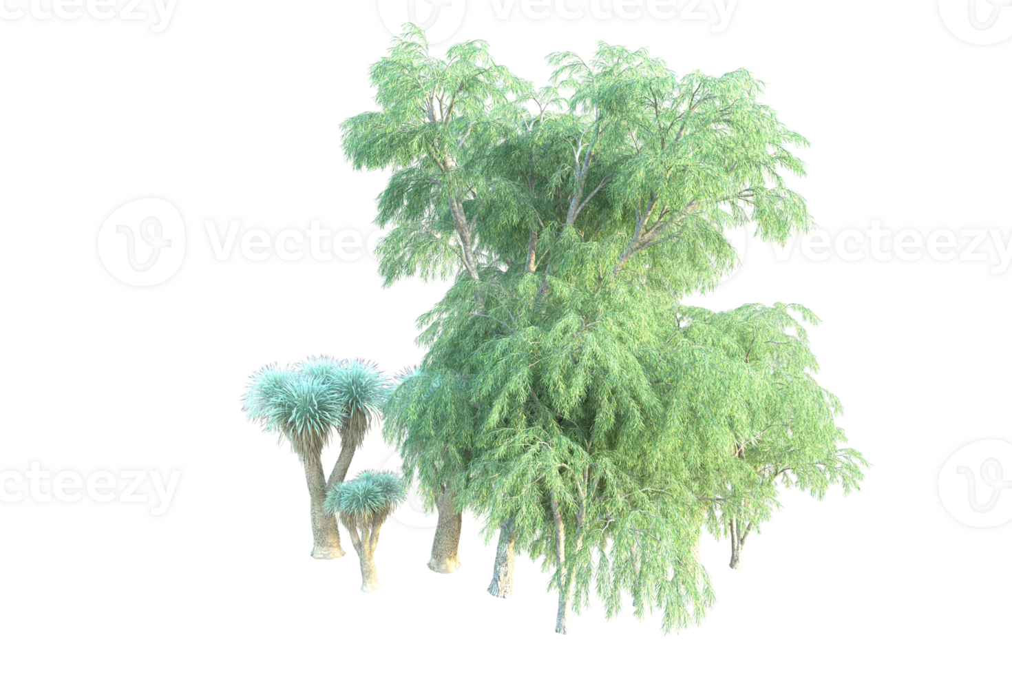 Tropical forest isolated on transparent background. 3d rendering - illustration png