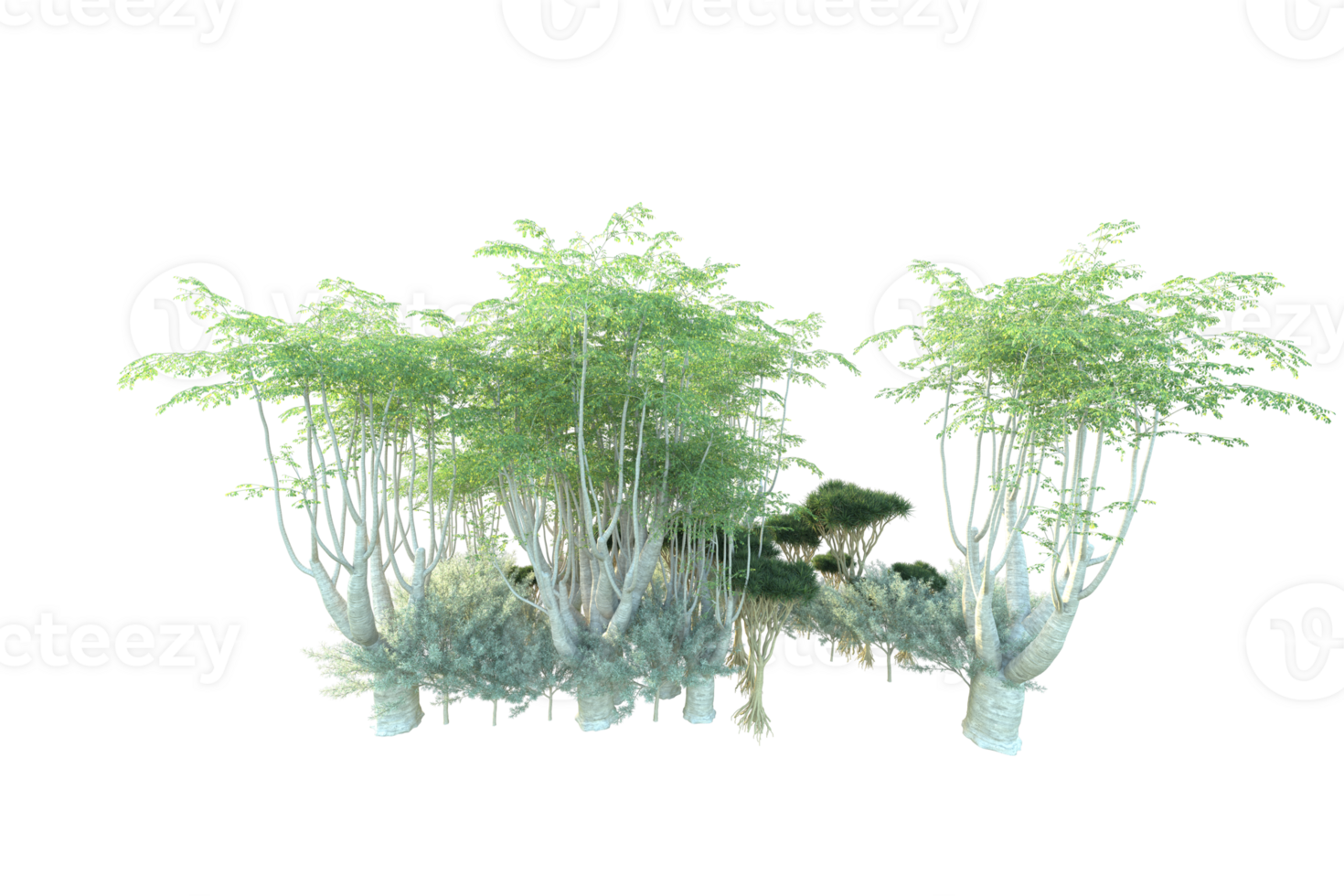 Tropical forest isolated on transparent background. 3d rendering - illustration png