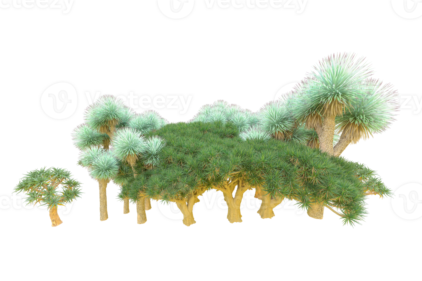 Tropical forest isolated on transparent background. 3d rendering - illustration png