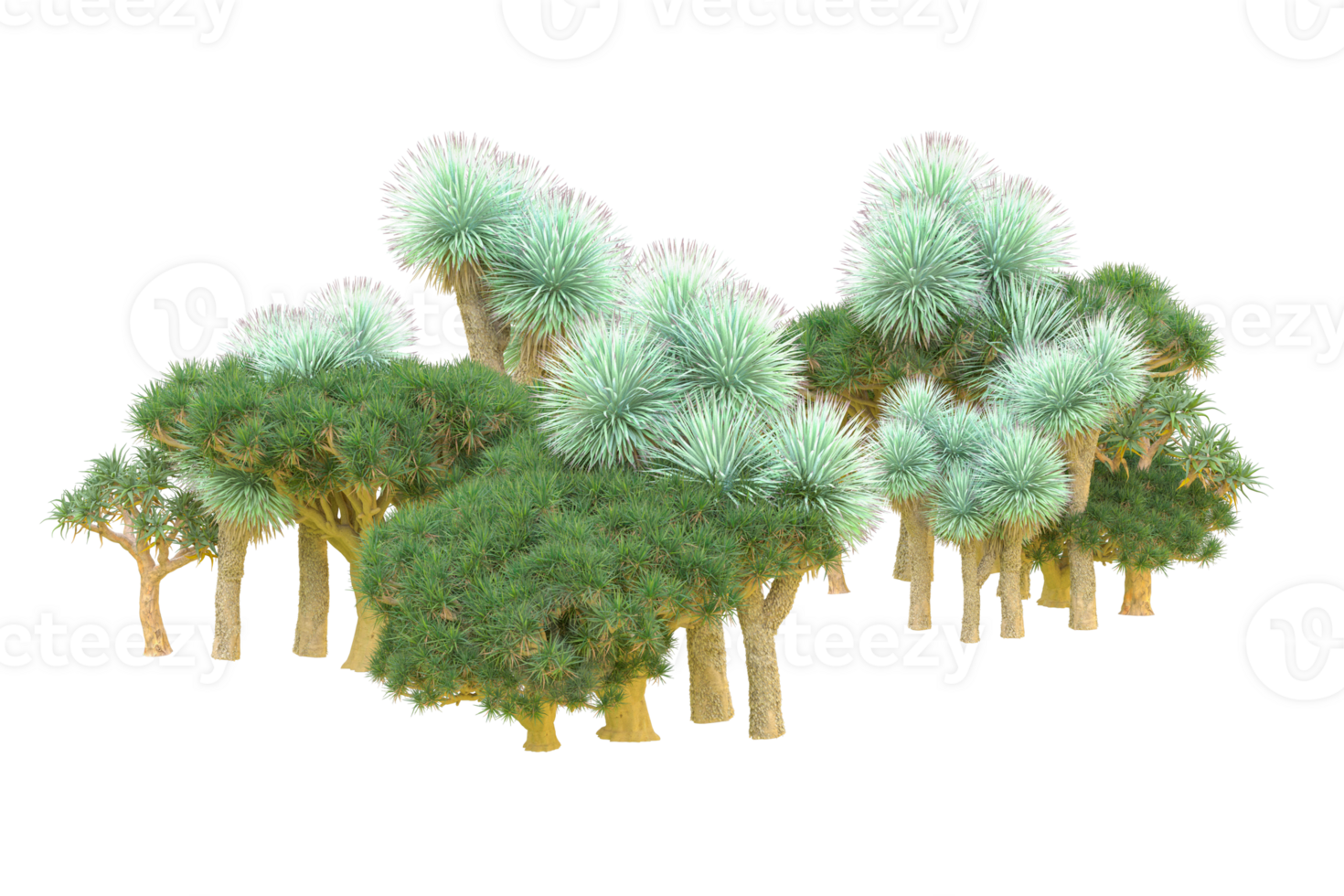 Tropical forest isolated on transparent background. 3d rendering - illustration png