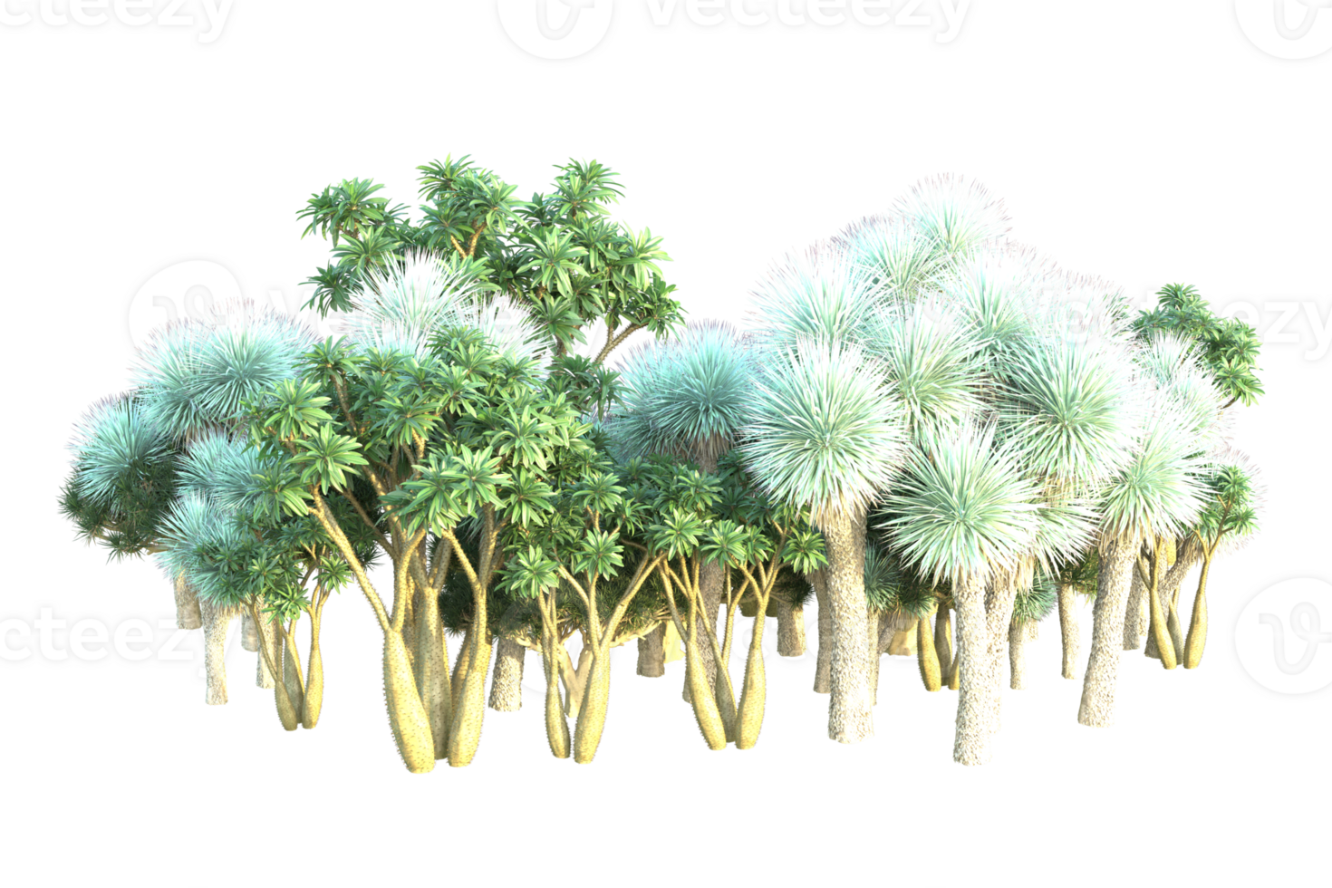 Tropical forest isolated on transparent background. 3d rendering - illustration png