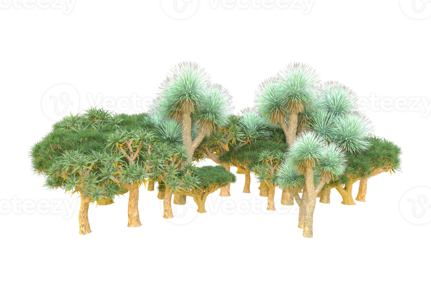 Tropical forest isolated on transparent background. 3d rendering - illustration png