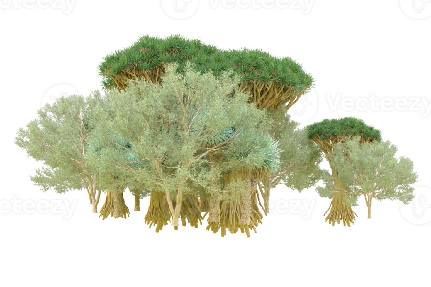 Tropical forest isolated on transparent background. 3d rendering - illustration png