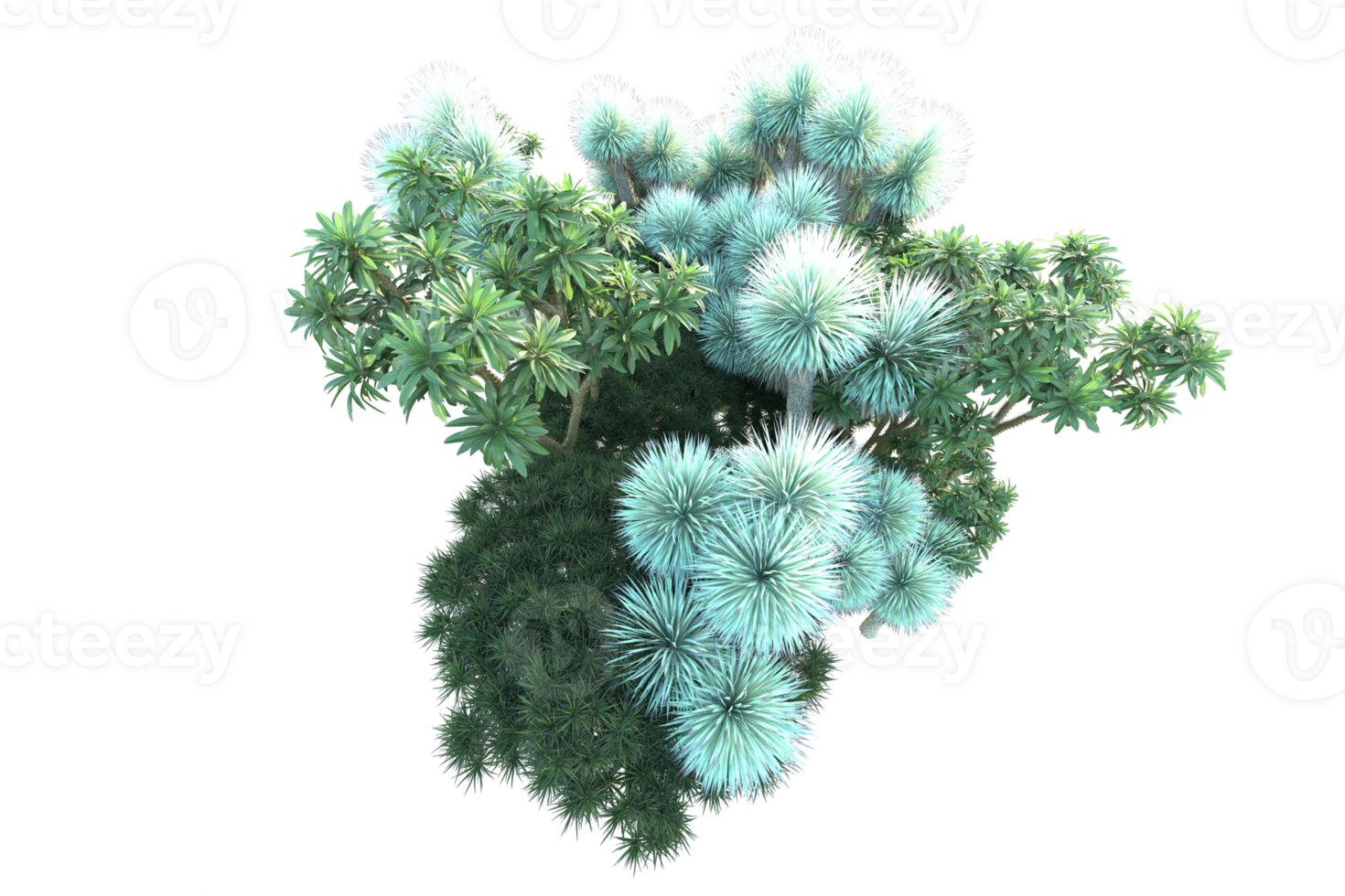 Tropical forest isolated on transparent background. 3d rendering - illustration png