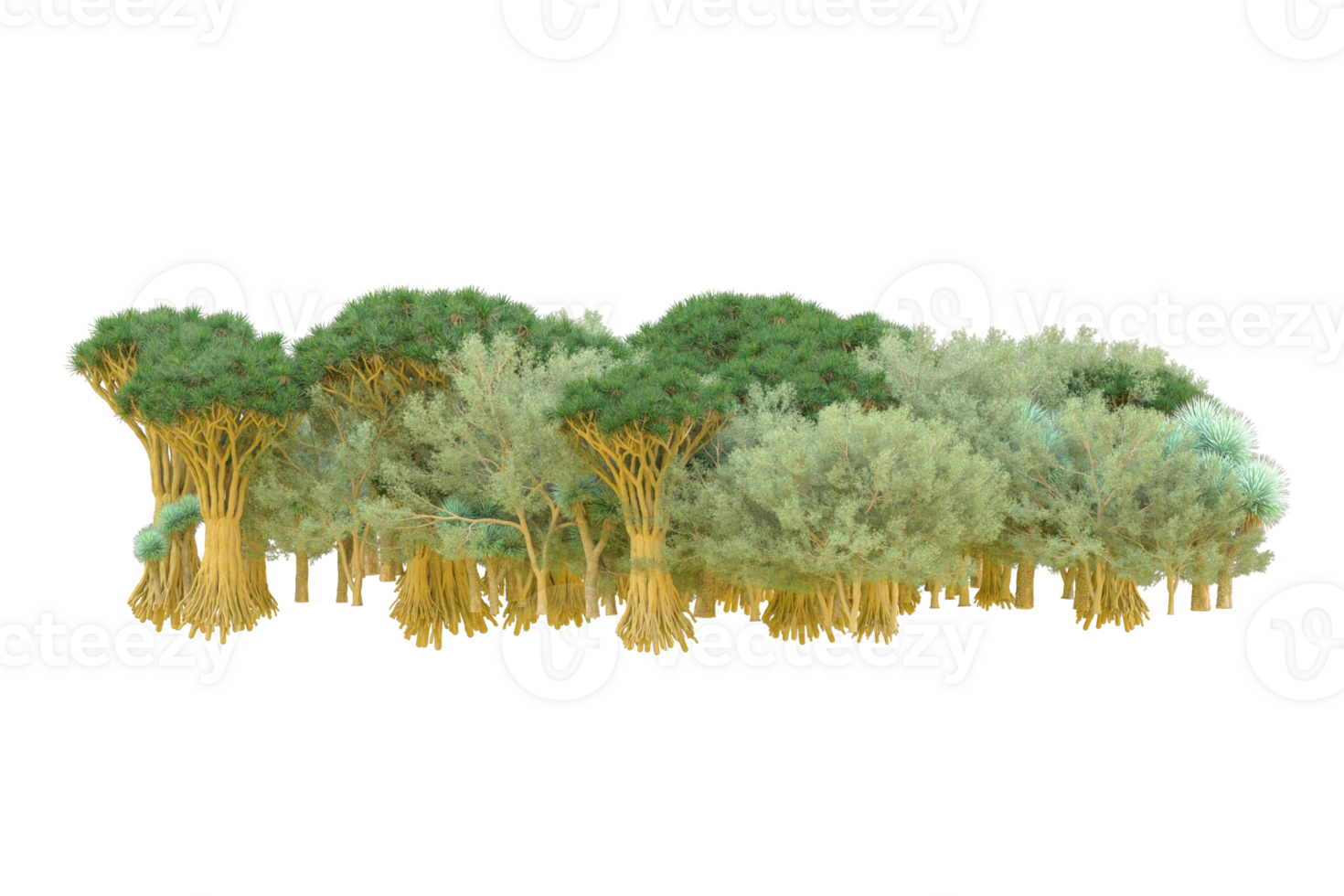 Tropical forest isolated on transparent background. 3d rendering - illustration png