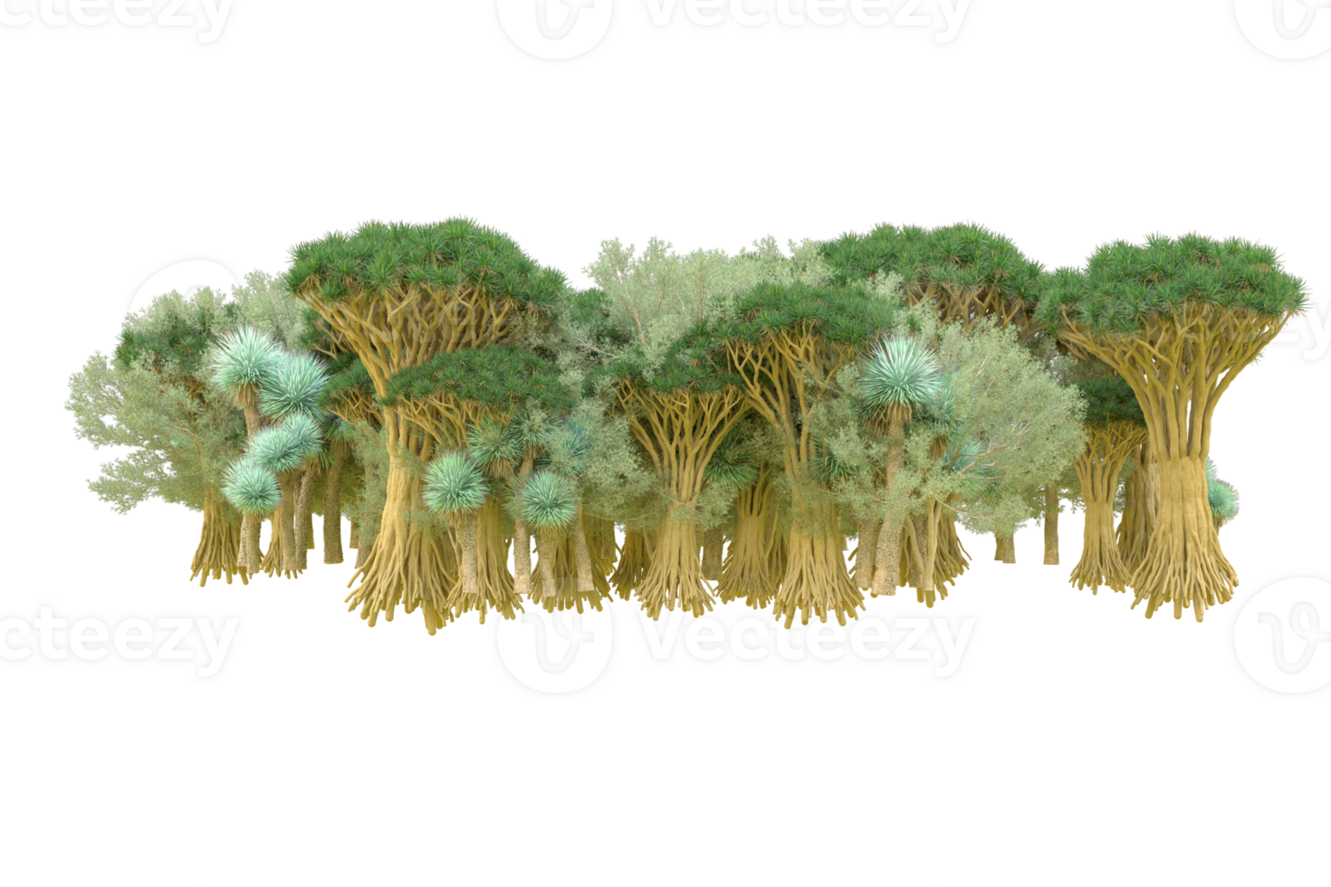 Tropical forest isolated on transparent background. 3d rendering - illustration png
