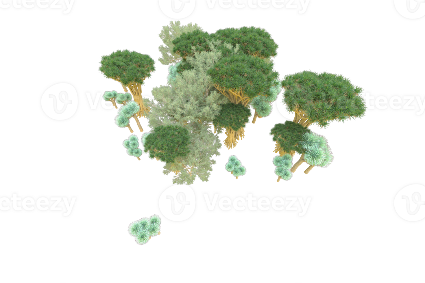 Tropical forest isolated on transparent background. 3d rendering - illustration png