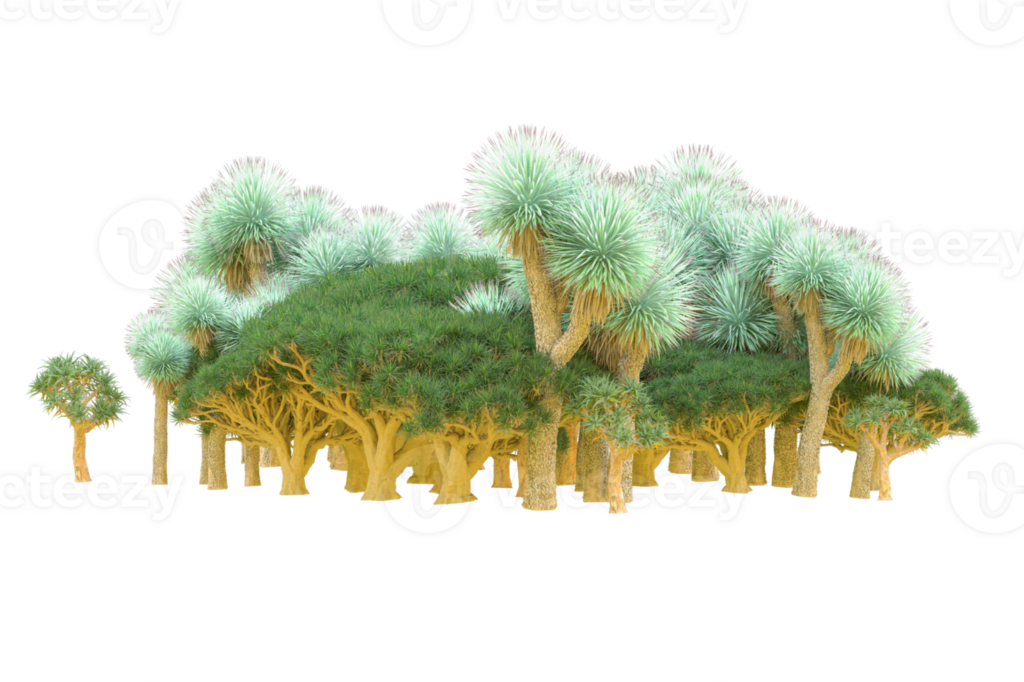 Tropical forest isolated on transparent background. 3d rendering - illustration png
