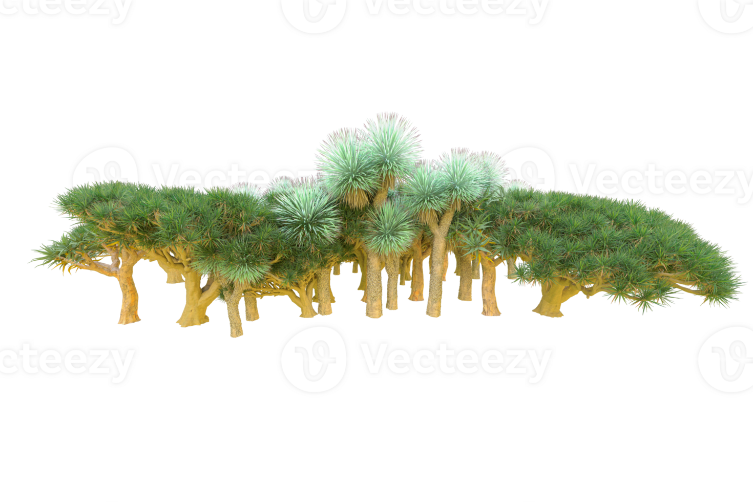 Tropical forest isolated on transparent background. 3d rendering - illustration png