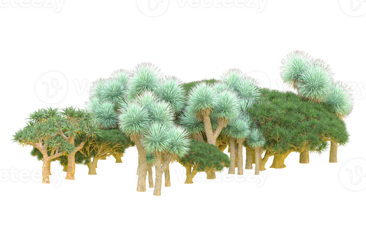 Tropical forest isolated on transparent background. 3d rendering - illustration png