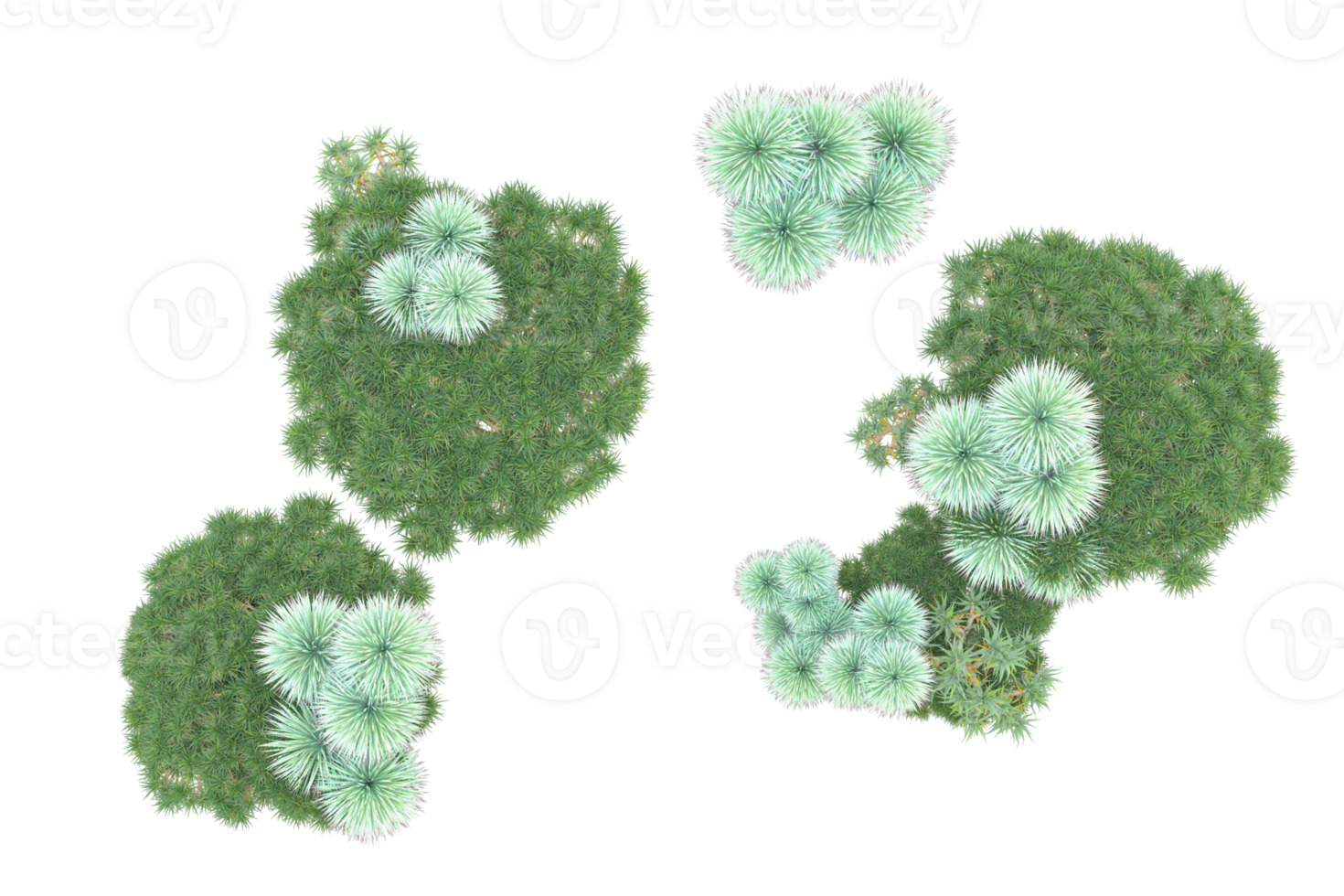 Tropical forest isolated on transparent background. 3d rendering - illustration png
