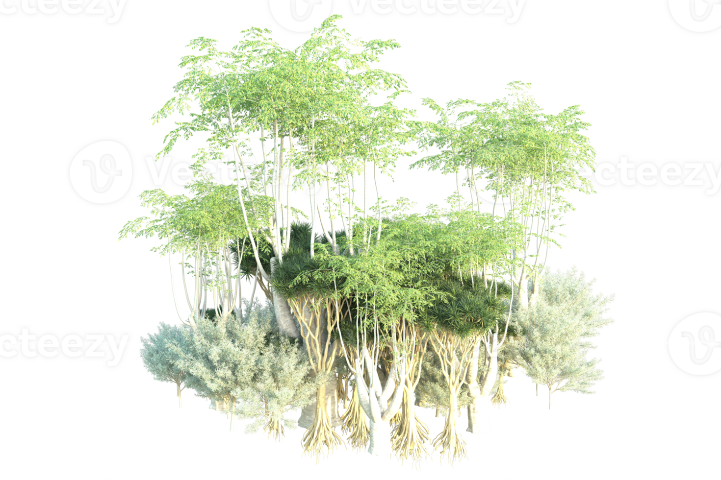 Tropical forest isolated on transparent background. 3d rendering - illustration png