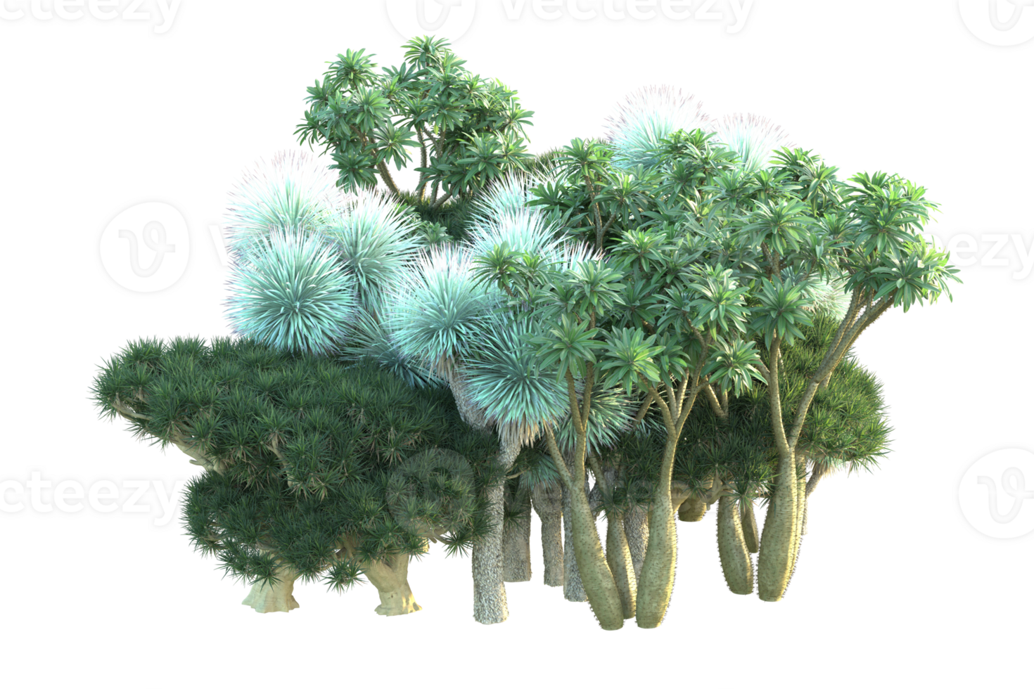 Tropical forest isolated on transparent background. 3d rendering - illustration png