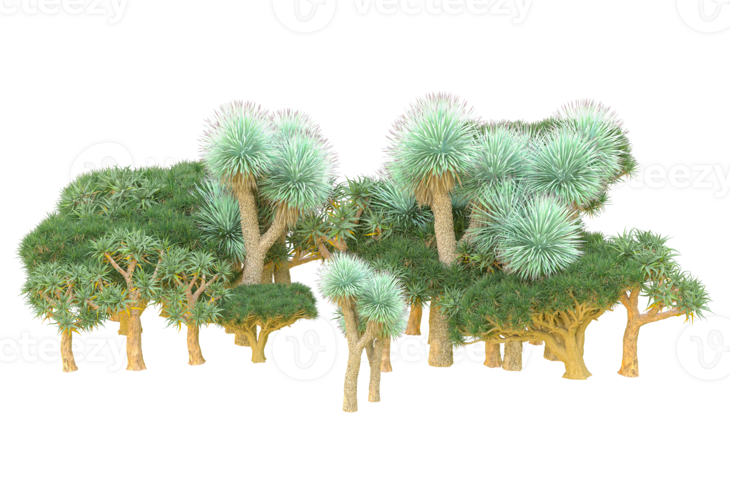 Tropical forest isolated on transparent background. 3d rendering - illustration png