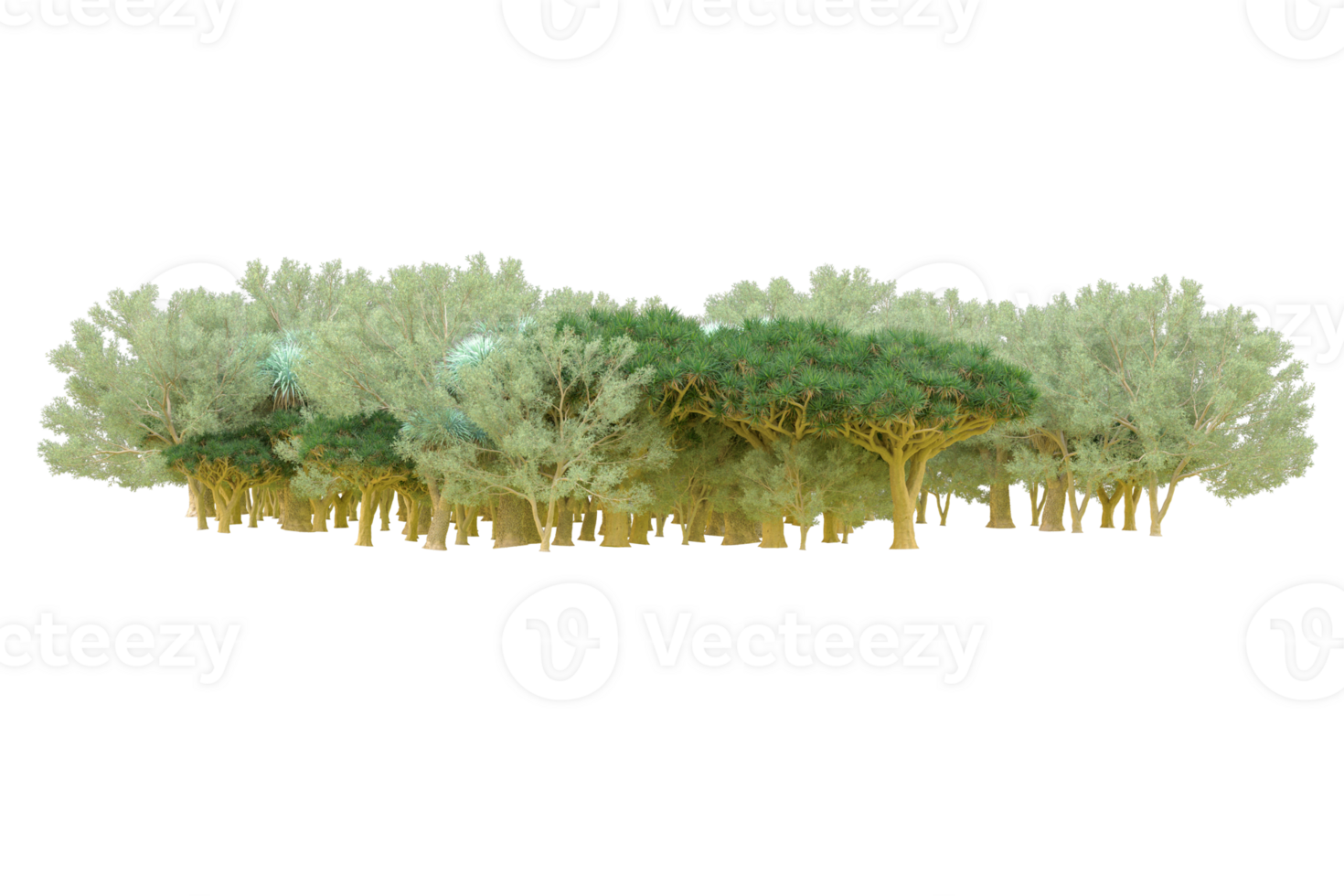 Tropical forest isolated on transparent background. 3d rendering - illustration png