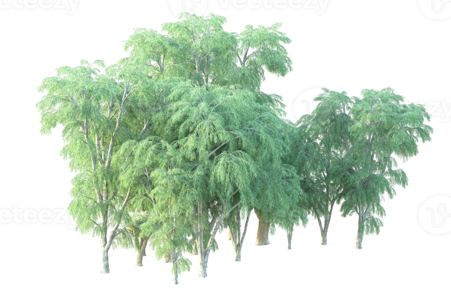 Tropical forest isolated on transparent background. 3d rendering - illustration png