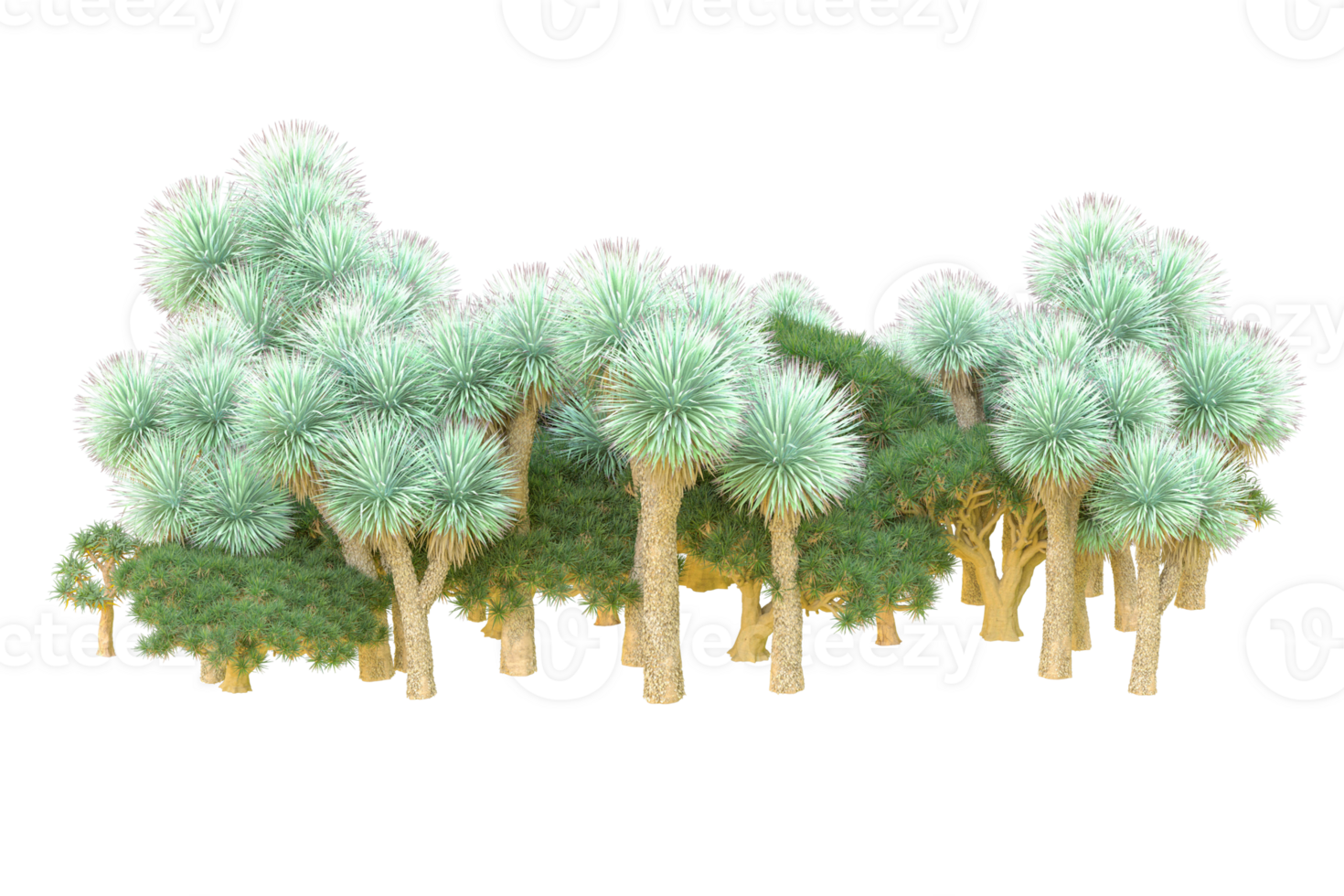 Tropical forest isolated on transparent background. 3d rendering - illustration png