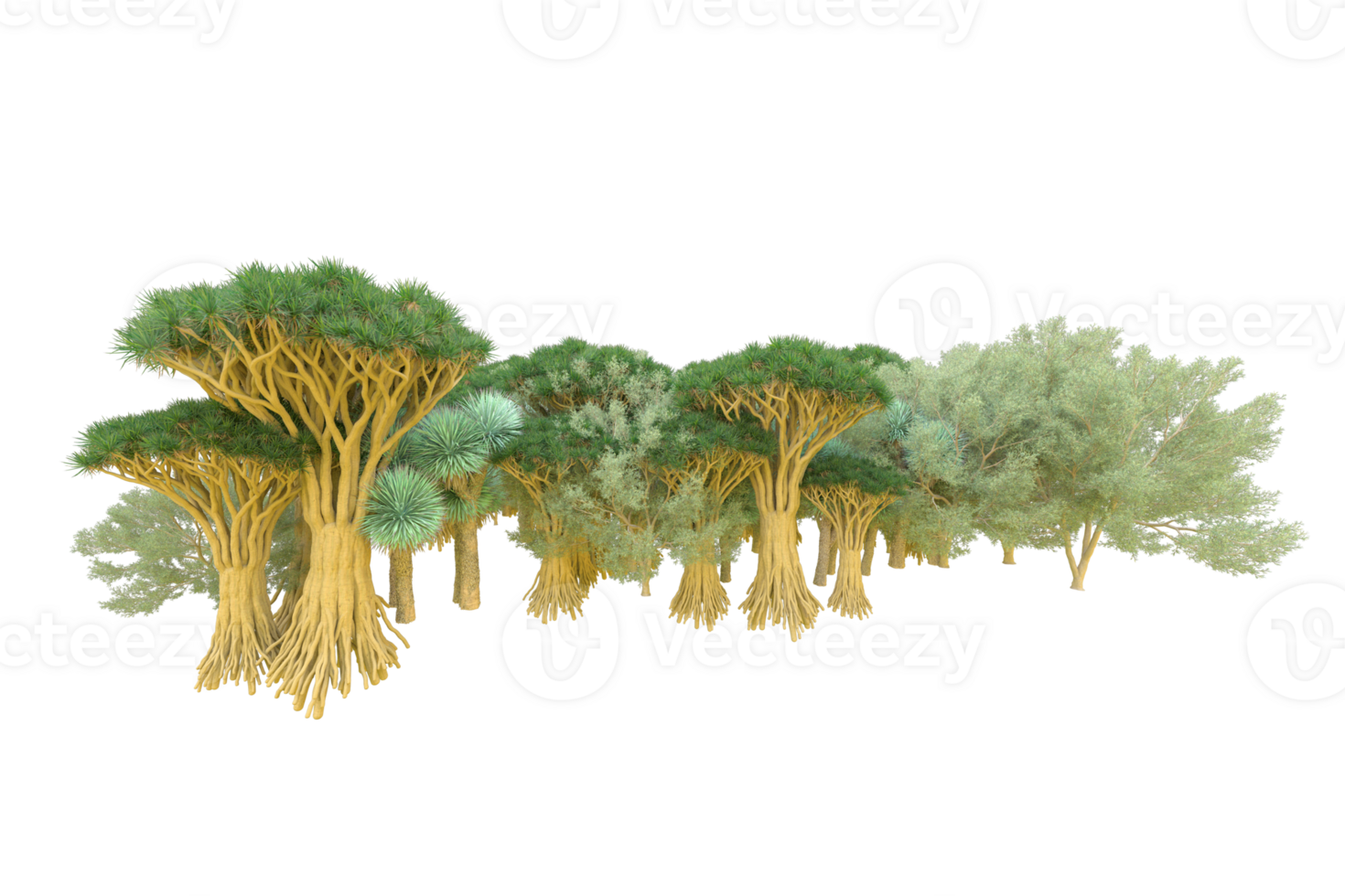 Tropical forest isolated on transparent background. 3d rendering - illustration png