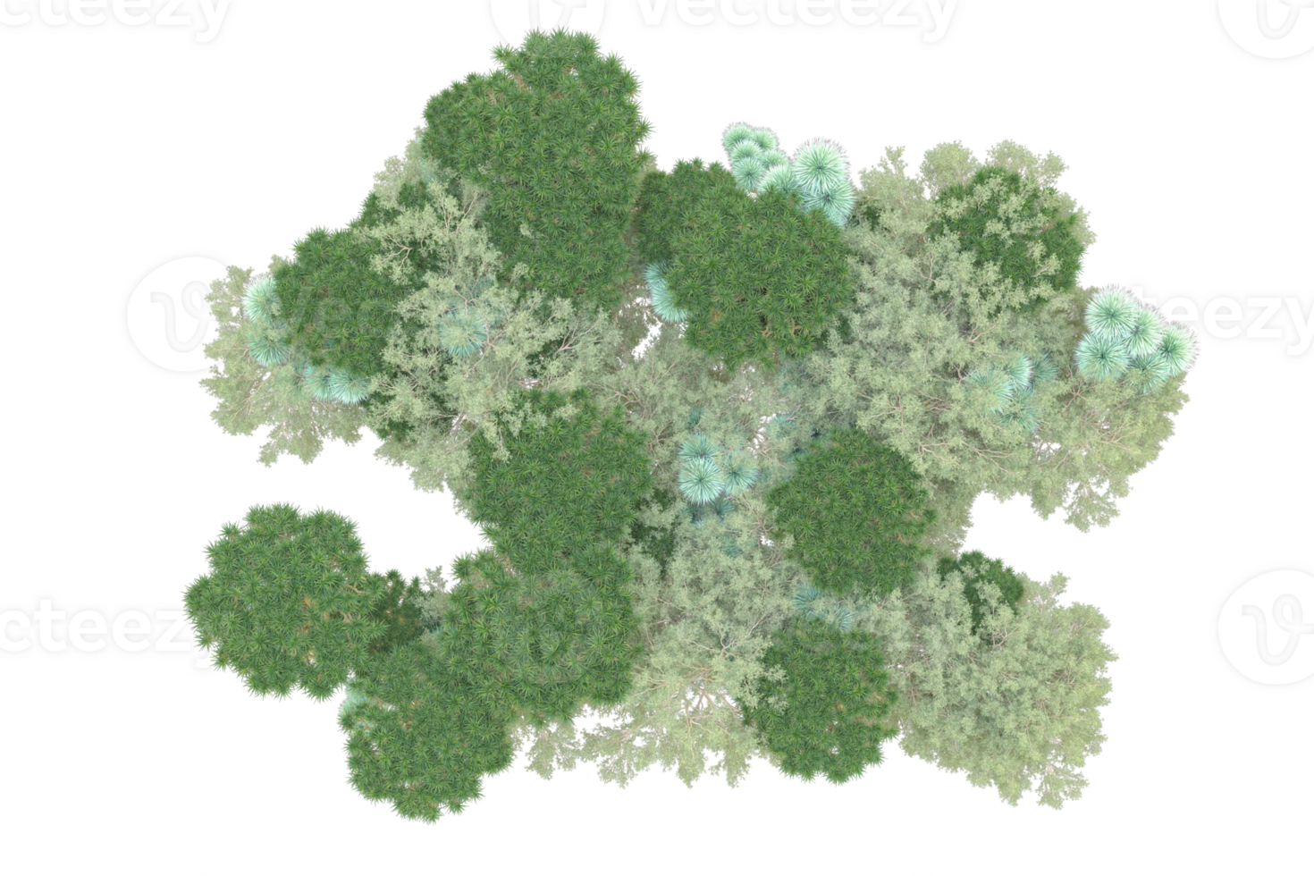 Tropical forest isolated on transparent background. 3d rendering - illustration png